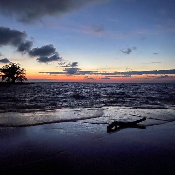 Meet your Posher, Felisha - Picture 1 of 1